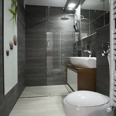 Comfort & Stara Polana Vipapartamenty * Zakopane