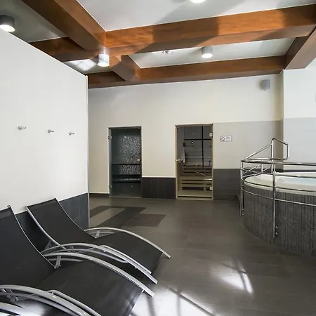 Comfort & Stara Polana Vipapartamenty Zakopane