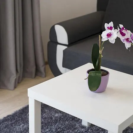 Comfort & Stara Polana Vipapartamenty Apartament *
