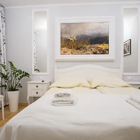 Apartman Comfort & Stara Polana Vipapartamenty *