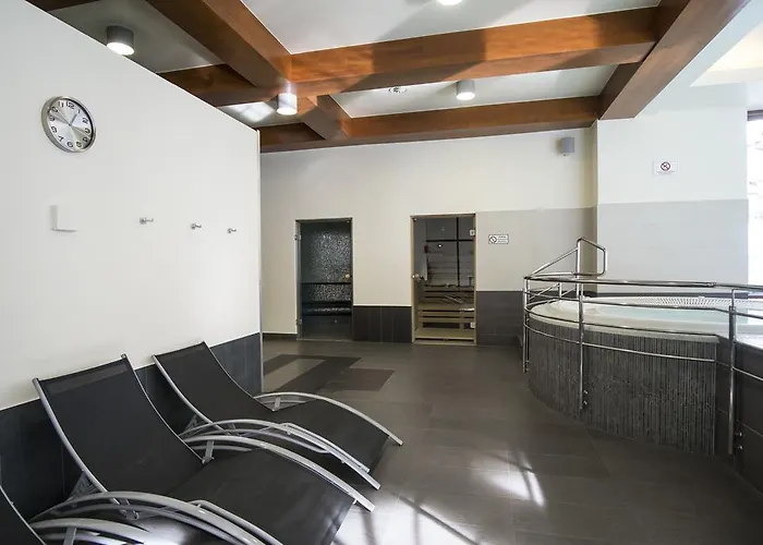 Comfort & Stara Polana Vipapartamenty Zakopane