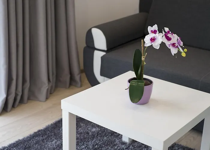 Comfort & Stara Polana Vipapartamenty Appartement *